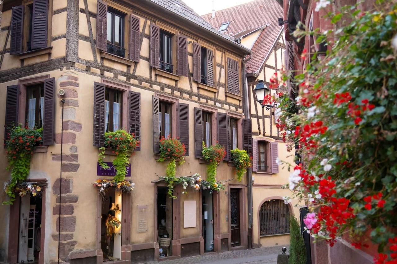 Charmant Appartement Alsacien Ribeauvillé Exterior foto