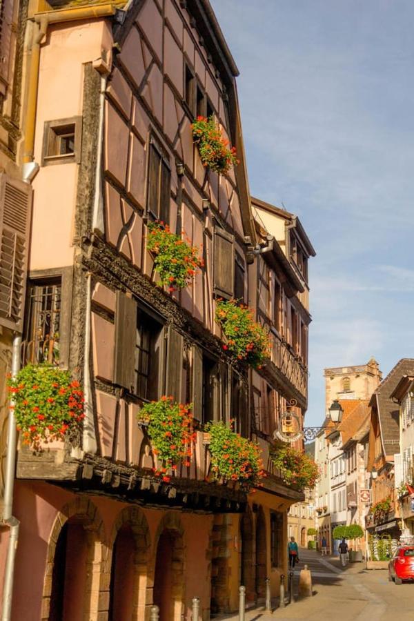 Charmant Appartement Alsacien Ribeauvillé Exterior foto