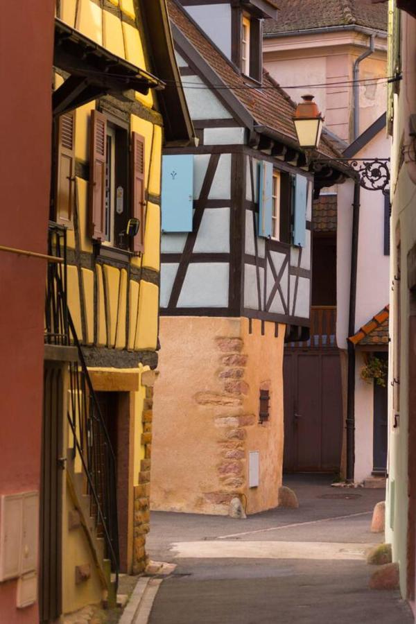 Charmant Appartement Alsacien Ribeauvillé Exterior foto