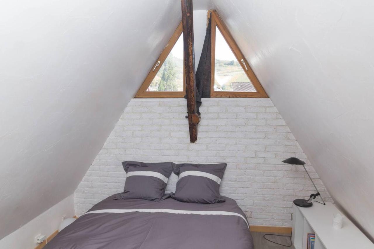 Charmant Appartement Alsacien Ribeauvillé Exterior foto